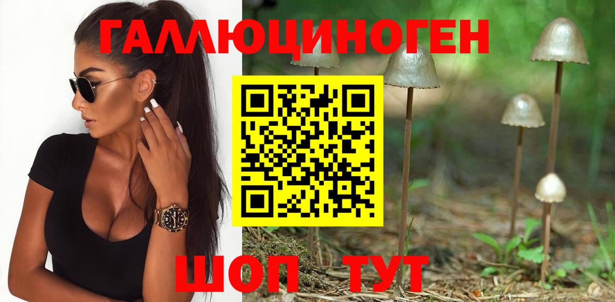 Псилоцибиновые грибы GOLDEN TEACHER Асбест
