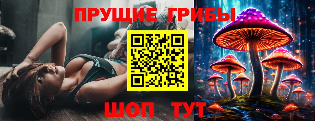 Галлюциногенные грибы прущие грибы  Вход с VPN  Галлюциногенные грибы мухоморы  Асбест 
